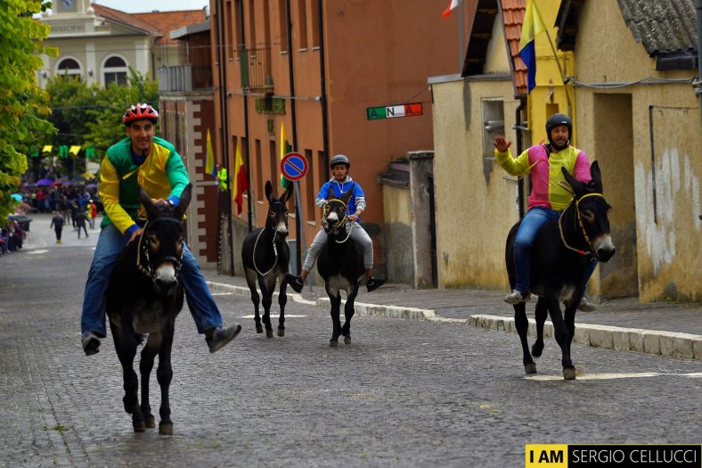 Seconda Edizione Del Palio Delle Contrade A Pescina Giochi Di Contrada