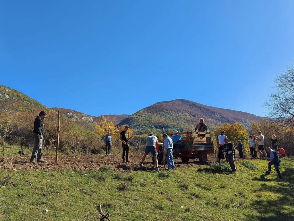 Lalbero Della Vita A Bisegna Piantati Nuovi Alberi Da Frutto Per L