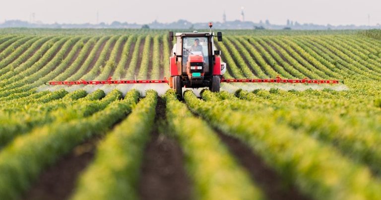 L’innovazione nell’agrifood: convegno dell’università di Teramo ad Avezzano