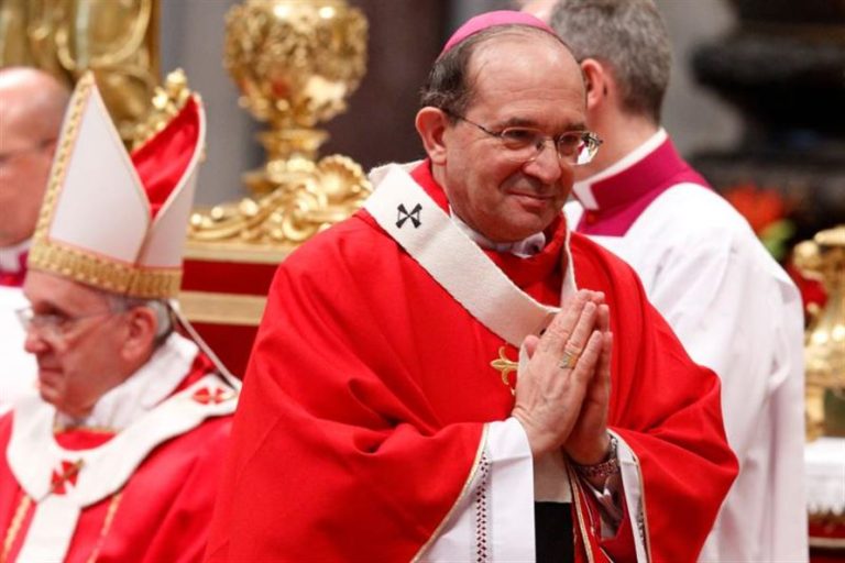 Cardinal Petrocchi