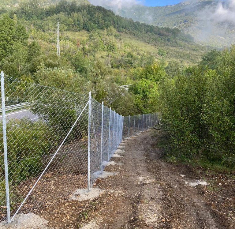 Salviamo l’Orso lancia la campagna “Una strada a prova d’orso”: la raccolta fondi per mettere in sicurezza la strada dove