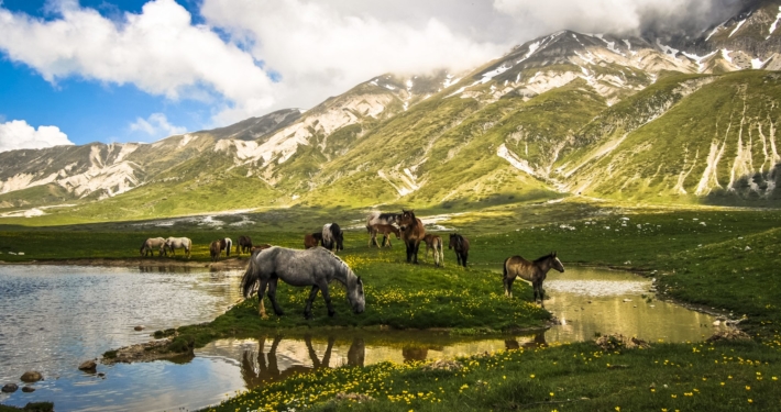 Taglio del Parco Sirente Velino. Fedele VS Imprudente: "ha ghigliottinato la voce di un intero territorio"