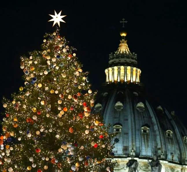 Abete abruzzese per il Natale a piazza San Pietro