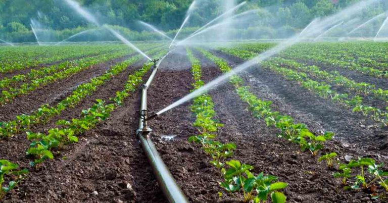 Emergenza siccità, nuove restrizioni per l'utilizzo di acque a scopo irriguo