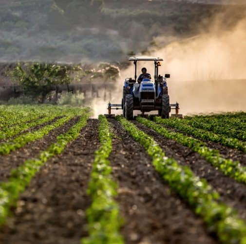 Caro energia: ulteriori sostegni per le aziende agricole con DL Aiuti ter