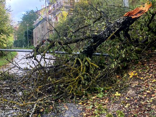 Strade liberate da alberi caduti per il vento forte