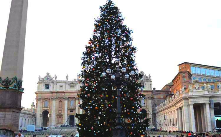 Oggi a San Pietro l'inaugurazione dell'Albero di Natale venuto dall'Abruzzo