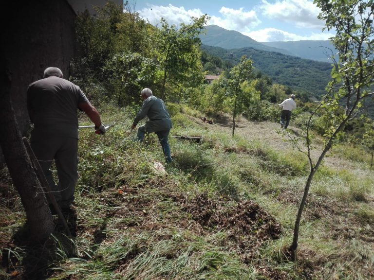 Il gruppo Alpini di Torre Sperone ripulisce l'area di Sperone Vecchio||