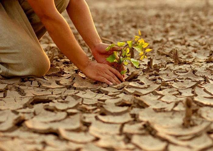 5 Giugno: Giornata Mondiale dell'Ambiente