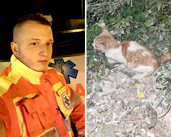 Mettono in salvo un gattino in difficoltà e lo restituiscono a mamma gatta|