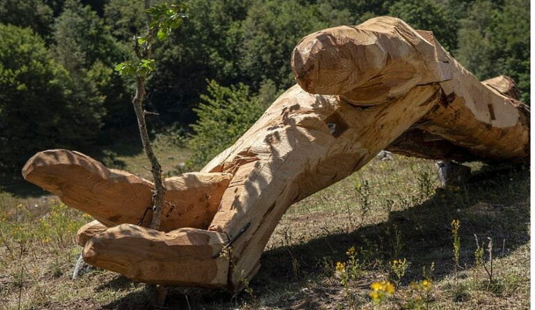 Ripristino opere vandalizzate nel Parco Nazionale d'Abruzzo Lazio e Molise