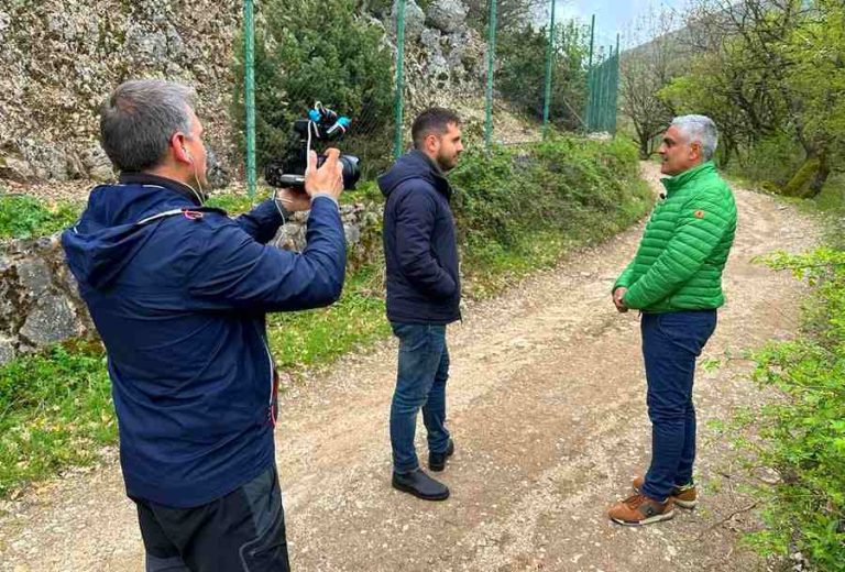 Gestione dell'orso bruno marsicano