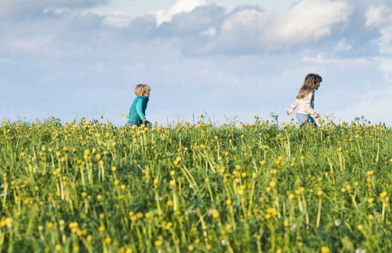 "Nei pascoli del cielo" una filastrocca della scrittrice Maria Assunta Oddi invita i bambini a fantasticare