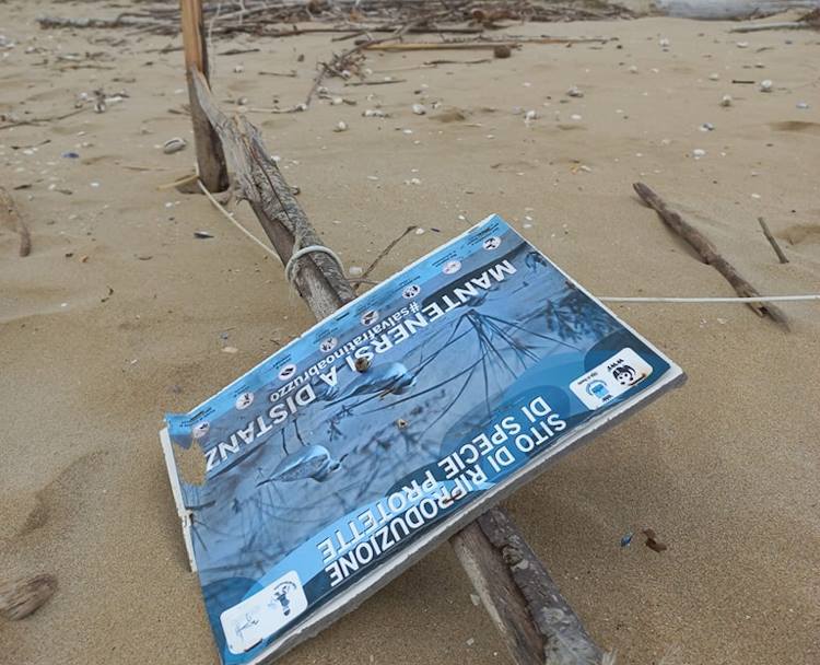 Vandalizzata l'area del fratino e delle dune nella Riserva Naturale del Borsacchio