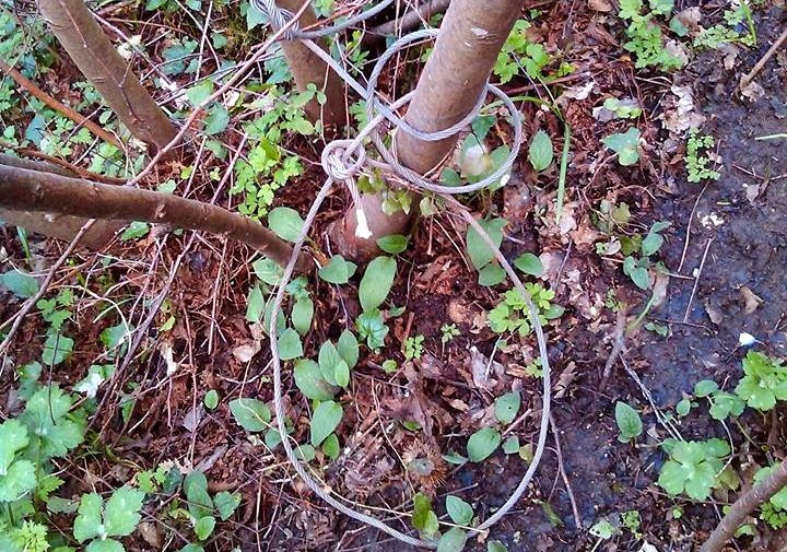 Parco Sirente Velino: interventi per il contrasto del fenomeno del bracconaggio