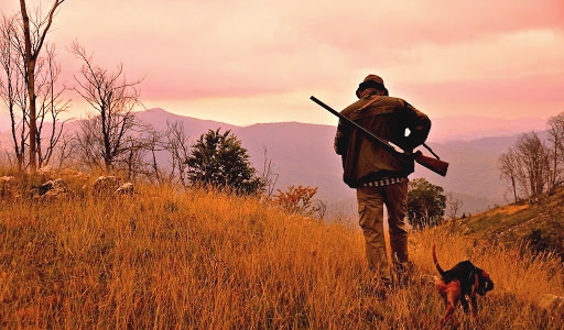 Chiusura della stagione venatoria in Abruzzo. WWF: registrati quattro gravi incidenti di caccia