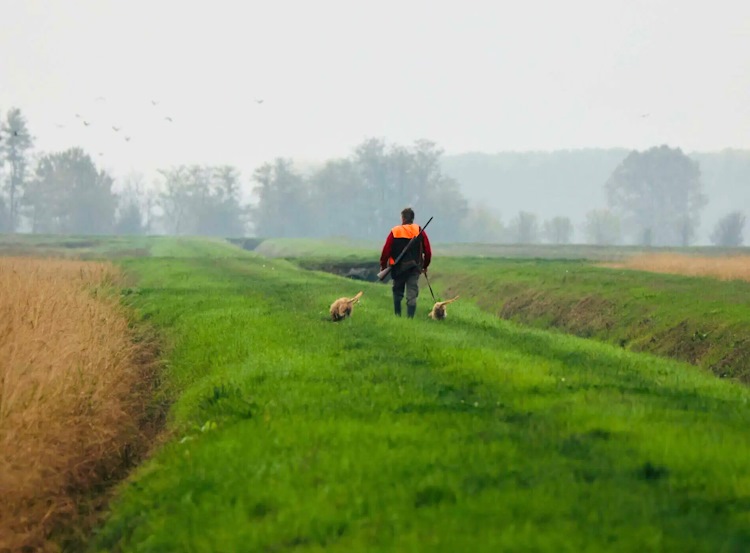 Agricoltore abruzzese ferito da una scarica di pallini