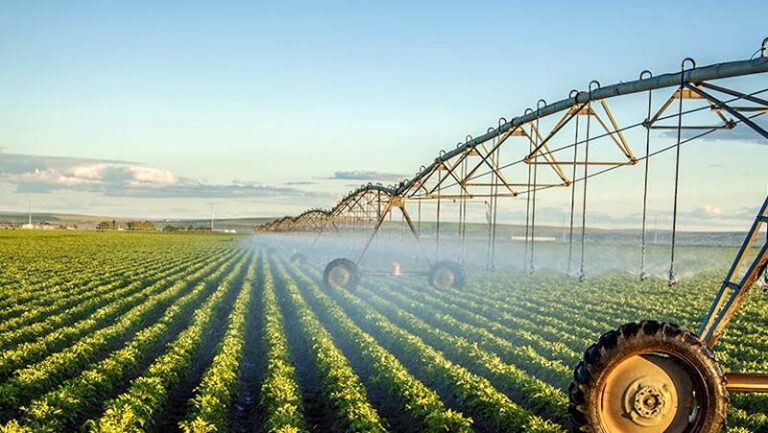 Investimenti con finalità ambientali per infrastrutture agricole: pubblicato il bando della Regione Abruzzo