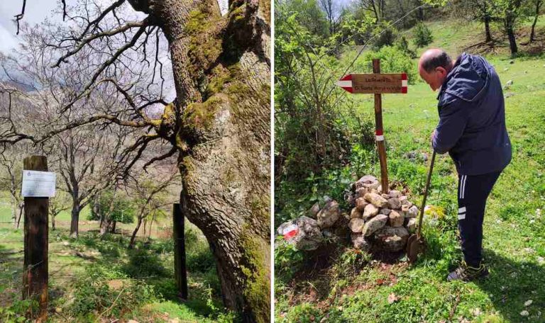 Nuovi cartelli informativi per l'antichissima Roverella di Santa Maria in Valle Porclaneta||||