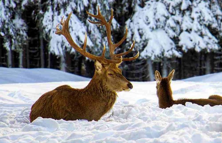 In Abruzzo si chiude la caccia