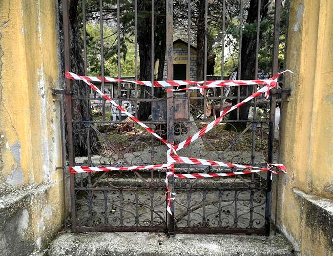 Caduta di un albero ad alto fusto: chiuso