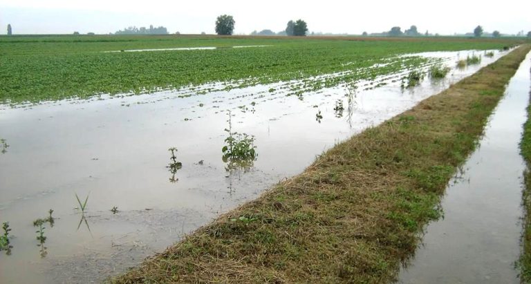 Agricoltura e stato di calamità per maltempo