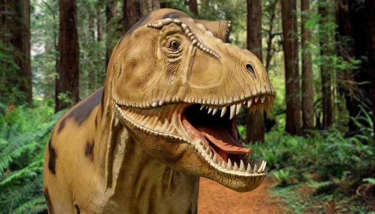 I dinosauri arrivano a Carsoli: parco giurassico con Tyrannosaurus