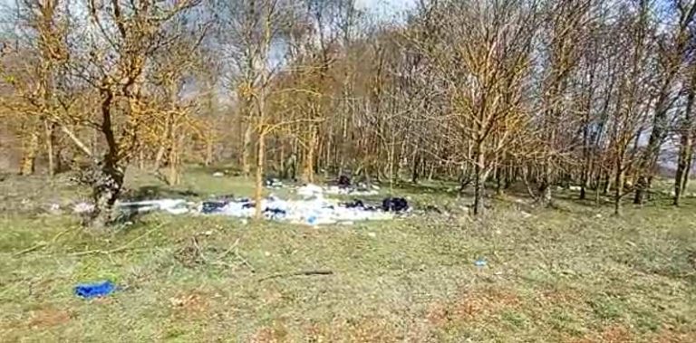 Un piccolo bosco a nord di Avezzano trasformato in discarica (video)