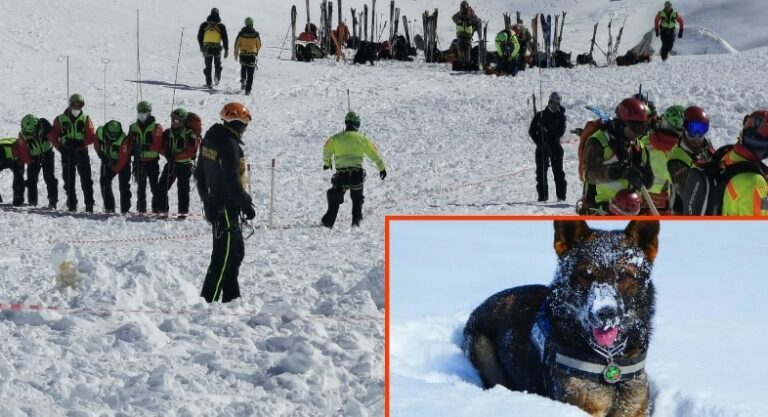 |Le unità cinofile sul Velino arrivano dal Centro di Addestramento alpino di Moena