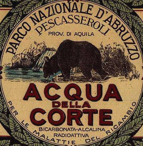 L'orso bruno marsicano simbolo della storica Acqua della Corte di Pescasseroli|