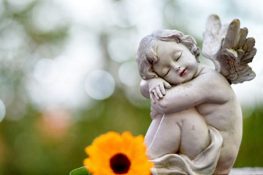 Fiori, ricordini e piccoli oggetti spariti nel cimitero di Scurcola Marsicana, i cittadini: "Una vergogna"