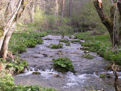 Fiume Giovenco