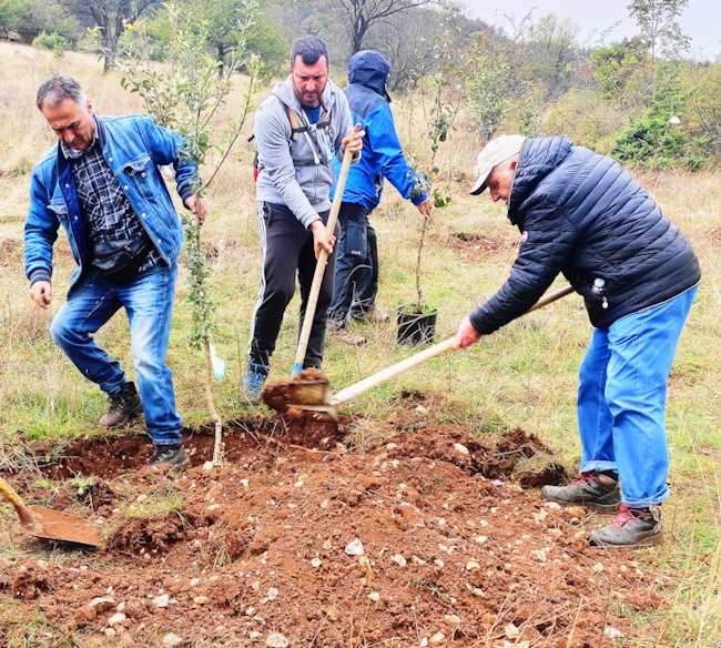 "Una foresta per Amarena" va avanti