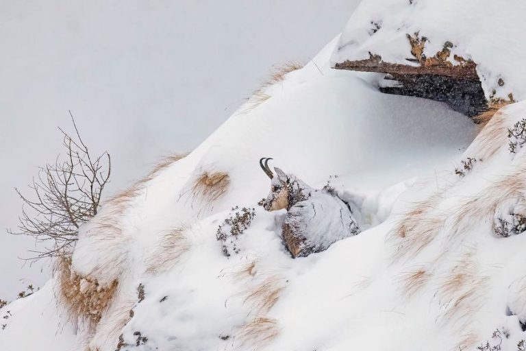 Le foto più belle del Parco