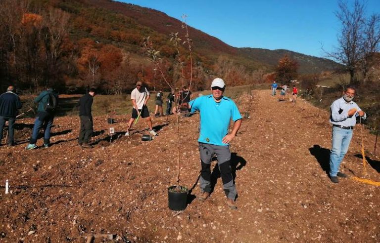 Frutteti diffusi: il 29 Ottobre una giornata per piantare e manutenere alberi da frutto per gli orsi bruni marsicani