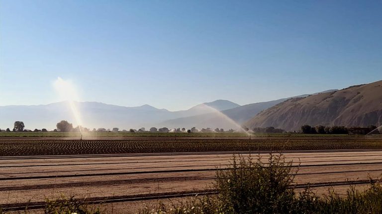 Fermo irriguo nel Fucino in vigore dal 19 Maggio