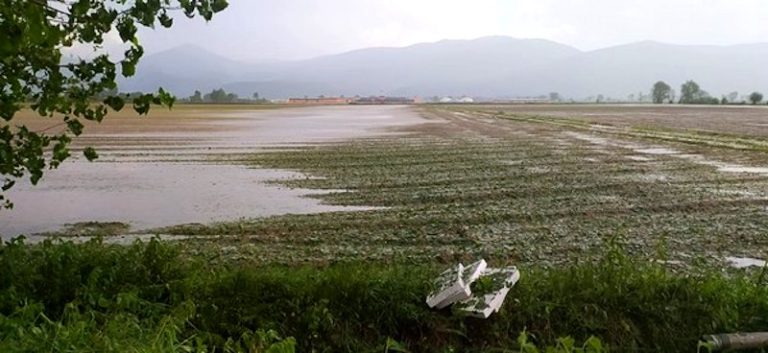 Attività agricole danneggiate dal maltempo