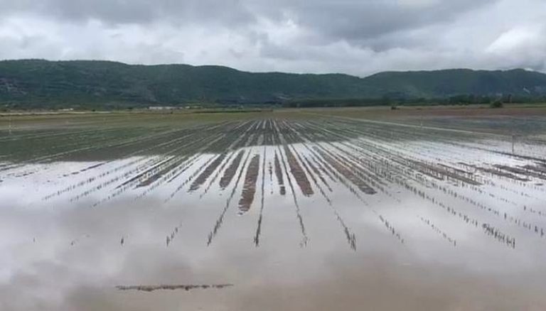 Prevenzione rischio calamità naturali nel comparto agricolo: 400.000 euro a favore del Consorzio di Bonifica Ovest per il Fucino