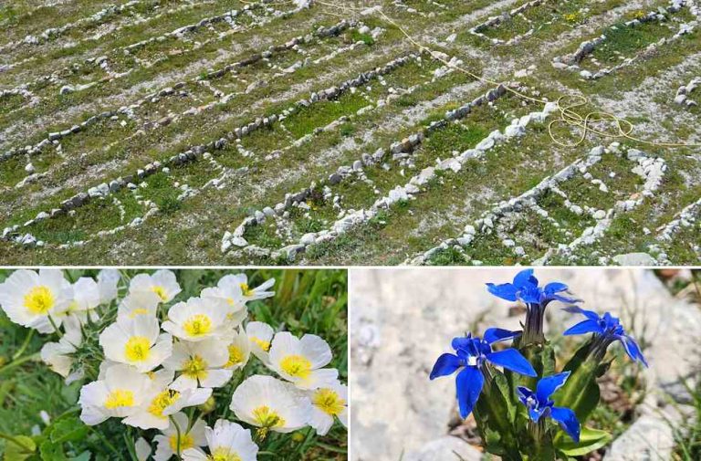 Si lavora alla riapertura del Giardino botanico alpino "Vincenzo Rivera" sul Gran Sasso