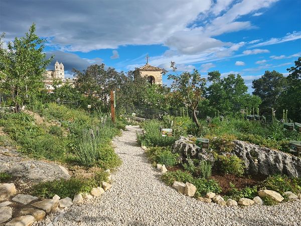 Inaugurato nuovo Giardino diffuso nel Parco nazionale della Maiella che ospita più di 130 entità botaniche|||||