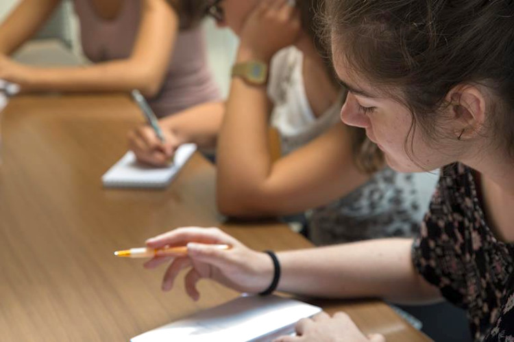 12 Borse di Lavoro dal Comune di Avezzano a giovani Neet per il Progetto Europeo Green & Social Hub