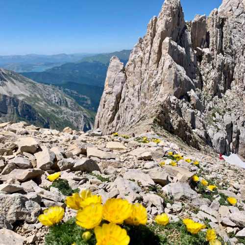 Ghiacciaio del Calderone sul Gran Sasso: "uno degli ultimi rifugi per specie rare ed endemiche"