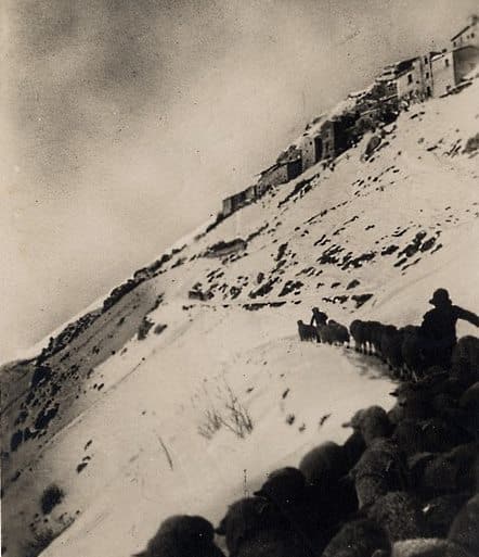 Un gregge tra la neve di Ovindoli: bellissima foto della prima parte del Novecento|