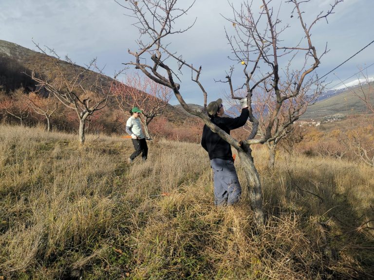 Miglioramento habitat dell'orso bruno marsicano