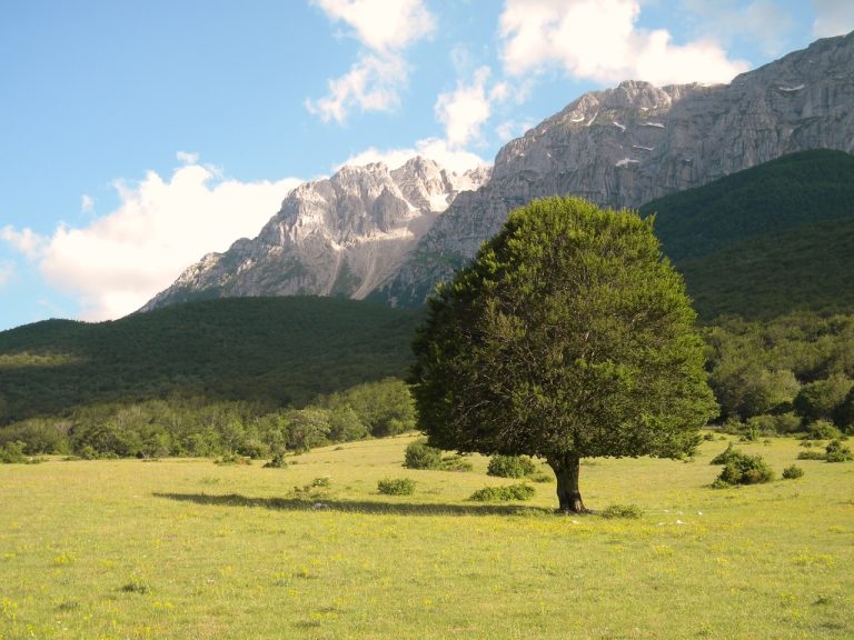 Parco Sirente Velino