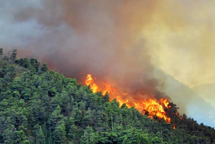 Incendi boschivi