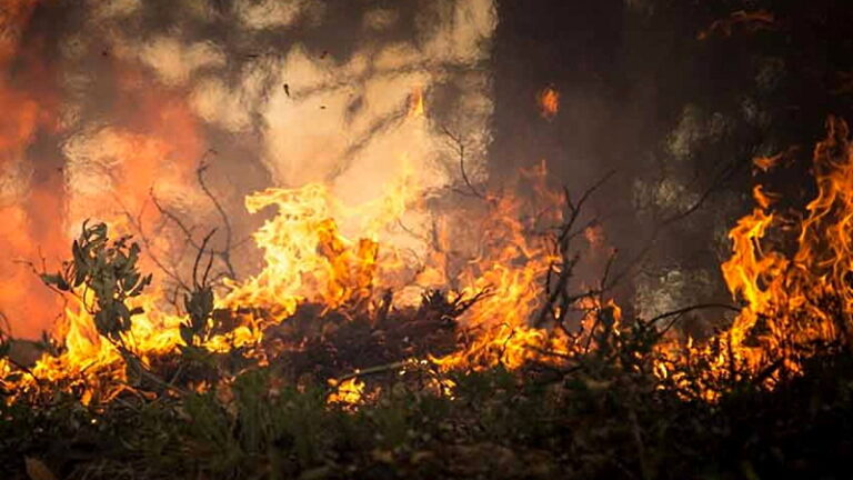 Pericolo incendi e inconvenienti igienico-sanitari: il Comune di Cappadocia ordina di ripulire i terreni