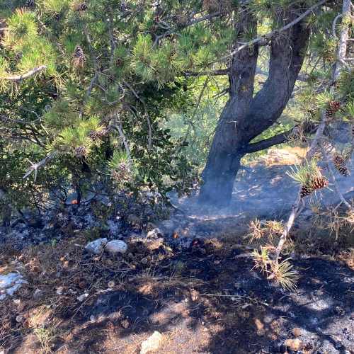 Incendio di Tagliacozzo