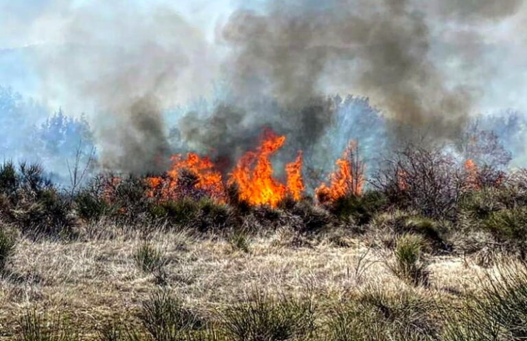 Incendio a Pescina. Sindaco Zauri: "non capisco chi continua a far del male al nostro territorio"|||