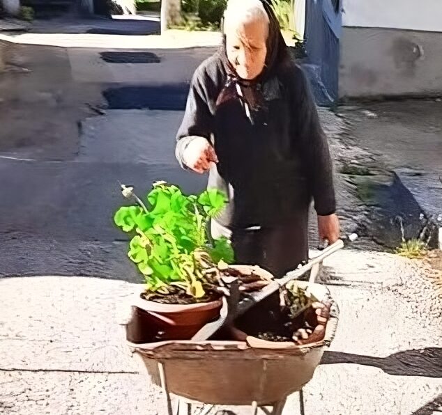 Carrito di Ortona dei Marsi festeggia i cento anni Maria Di Nicola: "Esempio di madre e donna donata all'amore per gli altri"